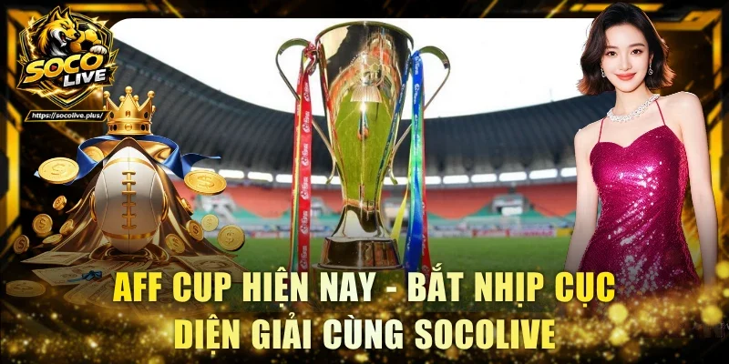 AFF Cup hiện nay