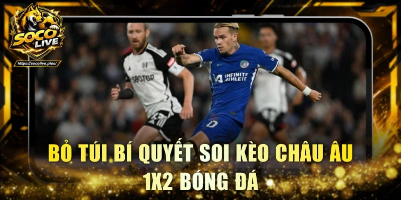 Bỏ túi bí quyết soi kèo châu Âu 1X2 bóng đá