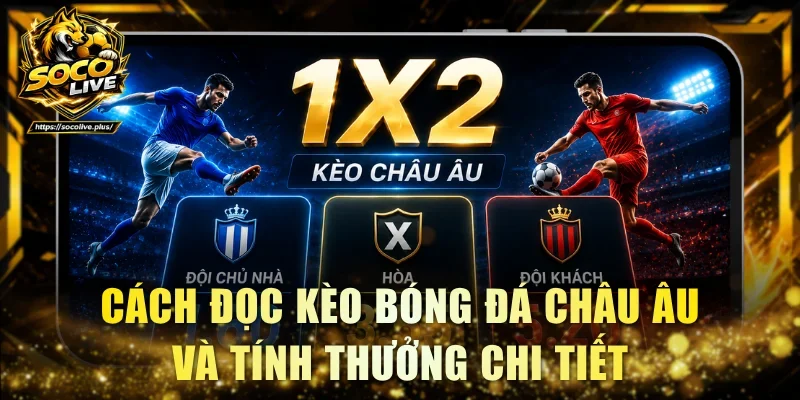 Cách đọc kèo bóng đá Châu Âu và tính thưởng chi tiết