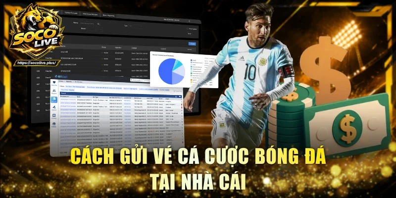 Cách gửi vé cá cược bóng đá tại nhà cái