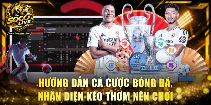 Hướng dẫn cá cược bóng đá