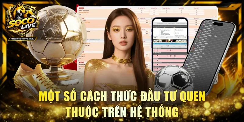 Một số cách thức đầu tư quen thuộc trên hệ thống