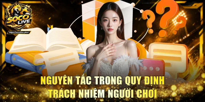 Nguyên tắc cần tuân thủ trong quy định trách nhiệm người chơi