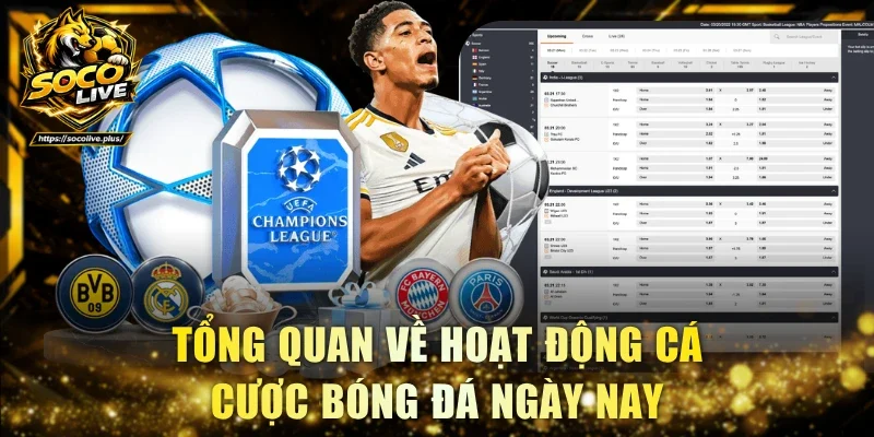 Tổng quan về hoạt động cá cược bóng đá ngày nay